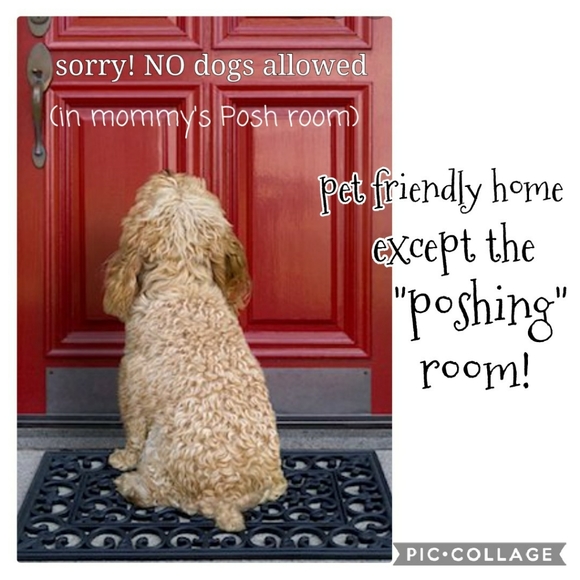 Meet your posher ๐คโคโบ๐ฏ๐๐๐ - Picture 16 of 16